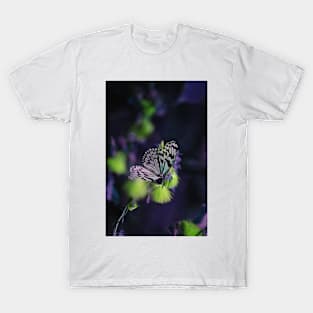 Macro Shot Butterfly on flower T-Shirt